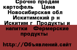 Срочно продам картофель  › Цена ­ 150 - Новосибирская обл., Искитимский р-н, Искитим г. Продукты и напитки » Фермерские продукты   